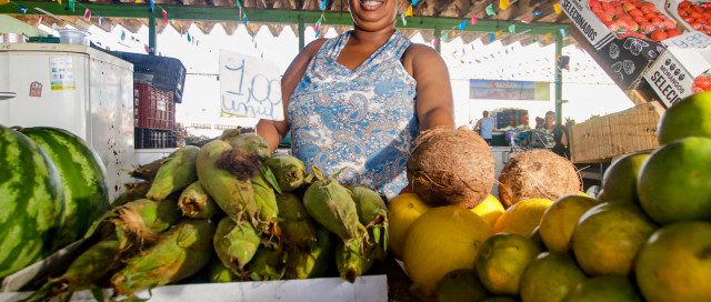 agricultores-e-vendedores-de-produtos-agricolas-celebram-vendas-no-periodo-junino